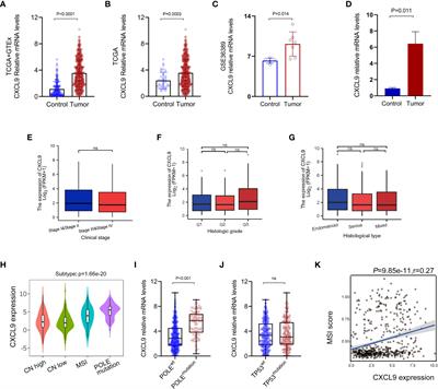 CXCL9 correlates with antitumor immunity and is predictive of a favorable prognosis in uterine corpus endometrial carcinoma